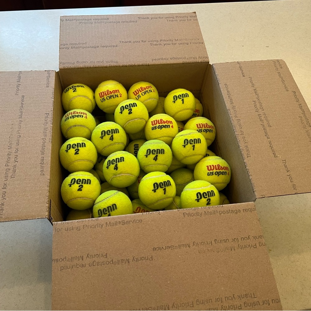 🎾❤️ 24 Tennis Balls: Dog Lover/ Teacher/Senior Center?